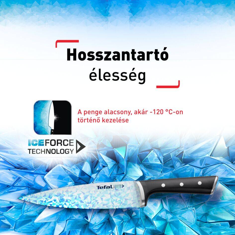 Késkészletek Tefal Ice Force K232S574 5 db-os + késtartó
