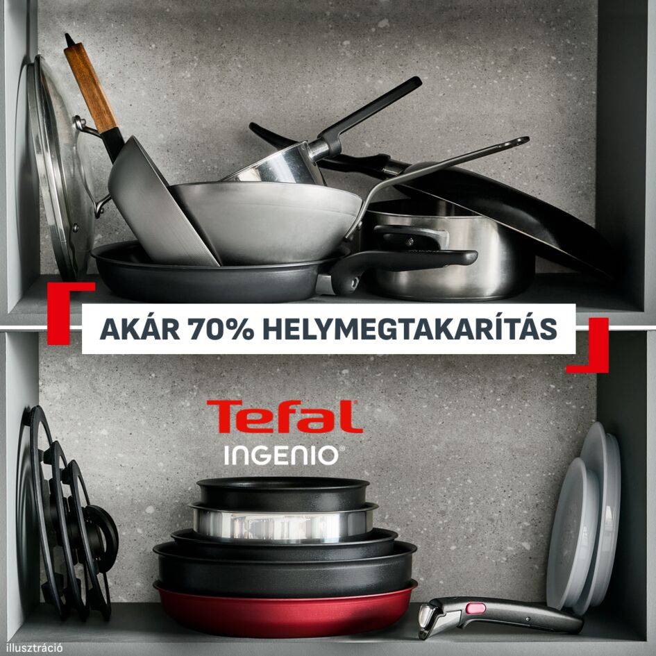 P0072953 Ingenio Excellence+ nyeles lábas, Tefal, 18 cm