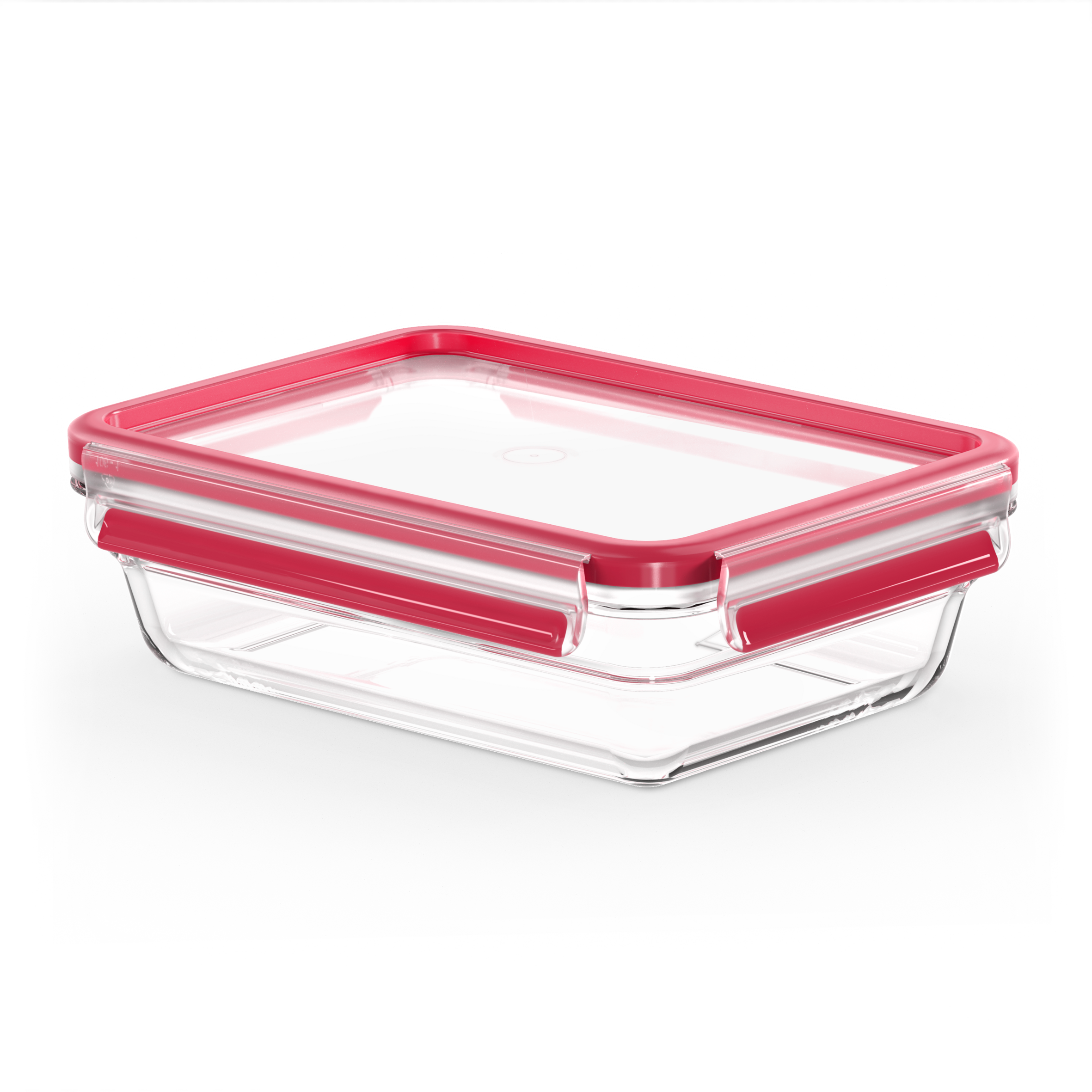 MASTERSEAL GLASS N1040910 1.1 L