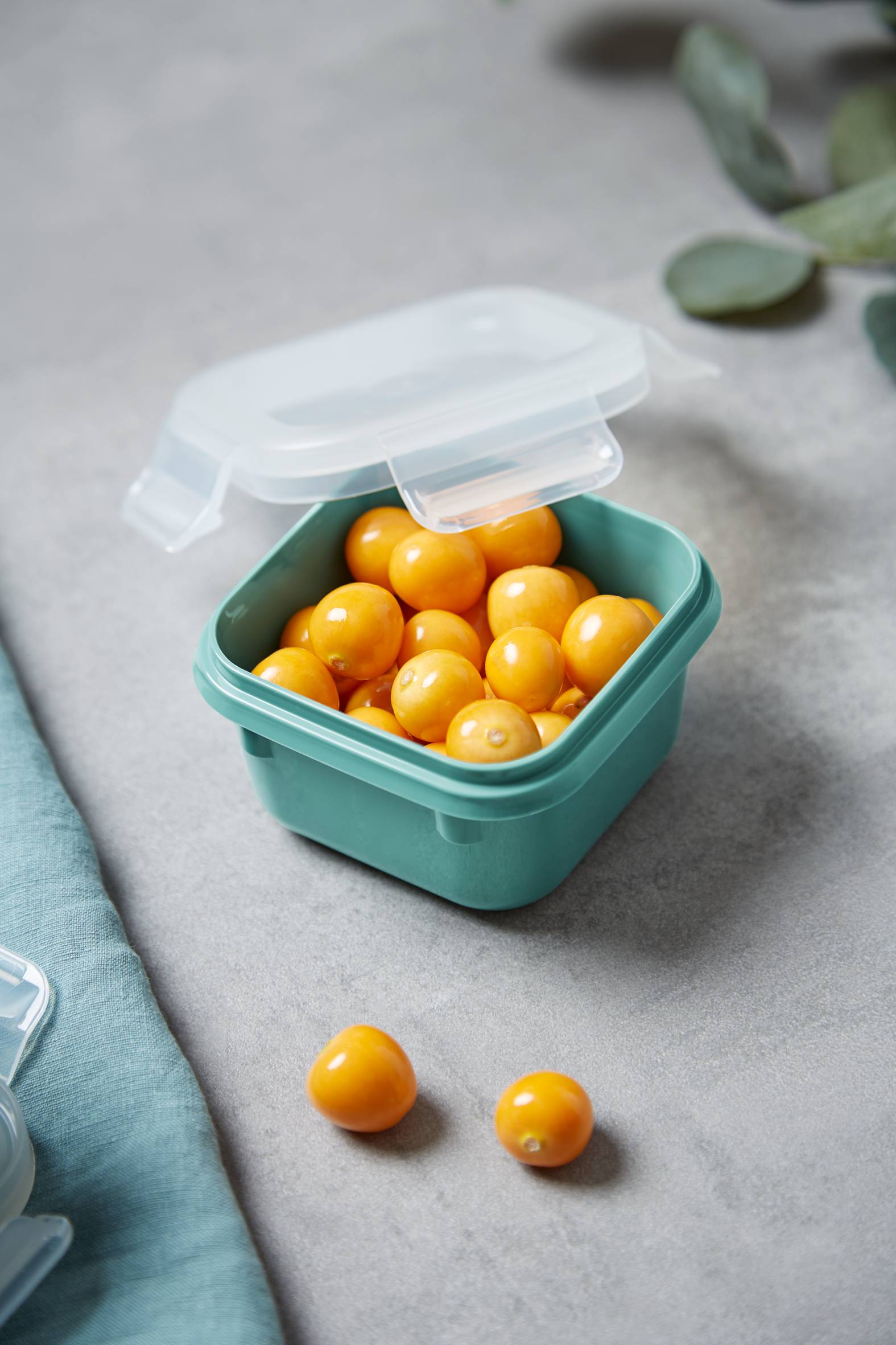 MASTERSEAL COLOUR EDITION N1031010 4 részes készlet (0.20 / 0.55 / 0.80 / 2.20 L )