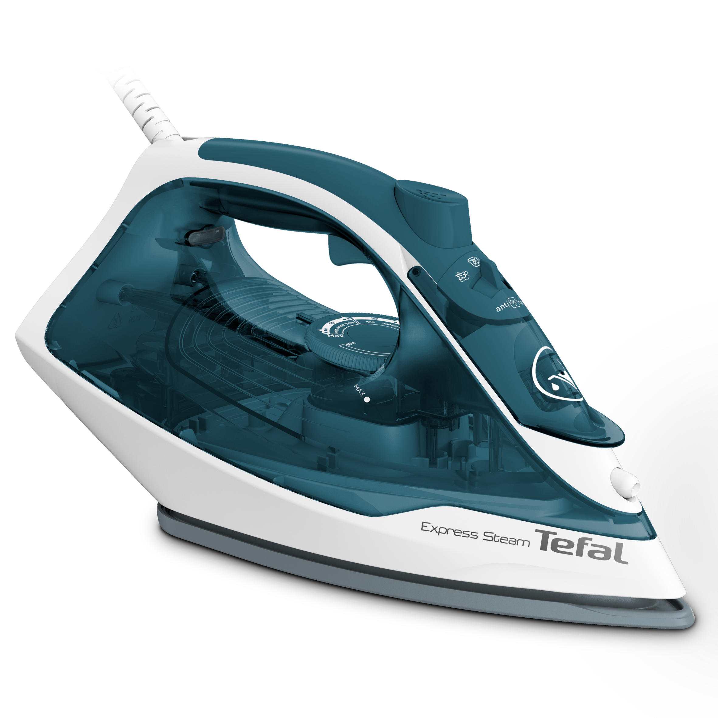 EXPRESS  STEAM FV2839E0