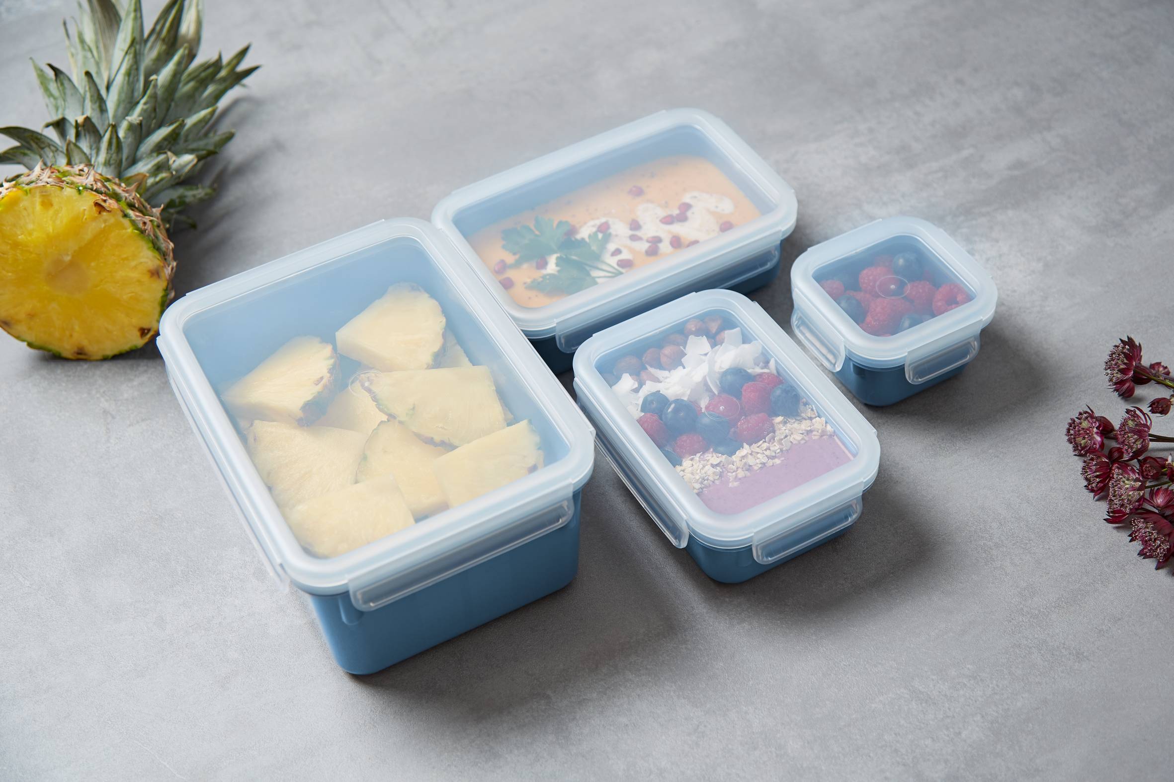 MASTERSEAL COLOUR EDITION N1030810 4 részes készlet (0.20 / 0.55 / 0.80 / 2.20 L )