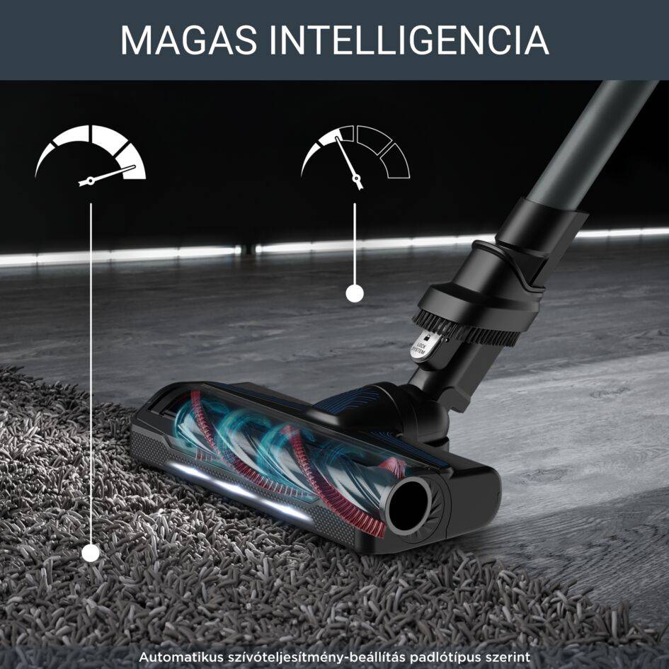 Rúdporszívó X-FORCE FLEX 9.60 Auto Animal AQUA 4v1 100AW RH20C7WO