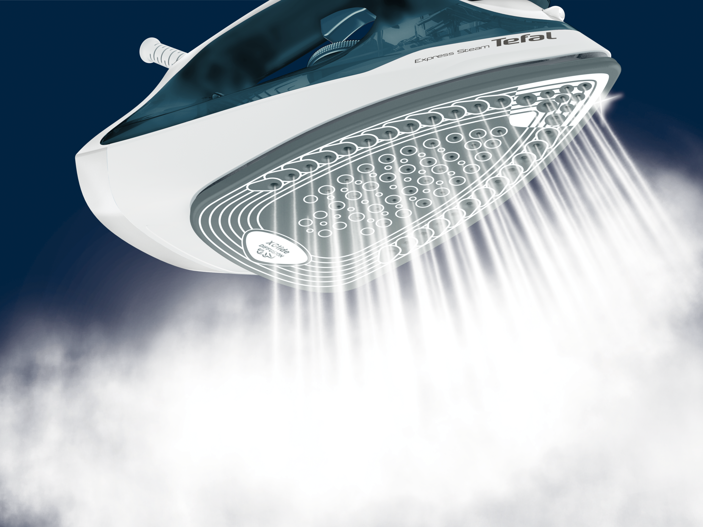 EXPRESS  STEAM FV2839E0