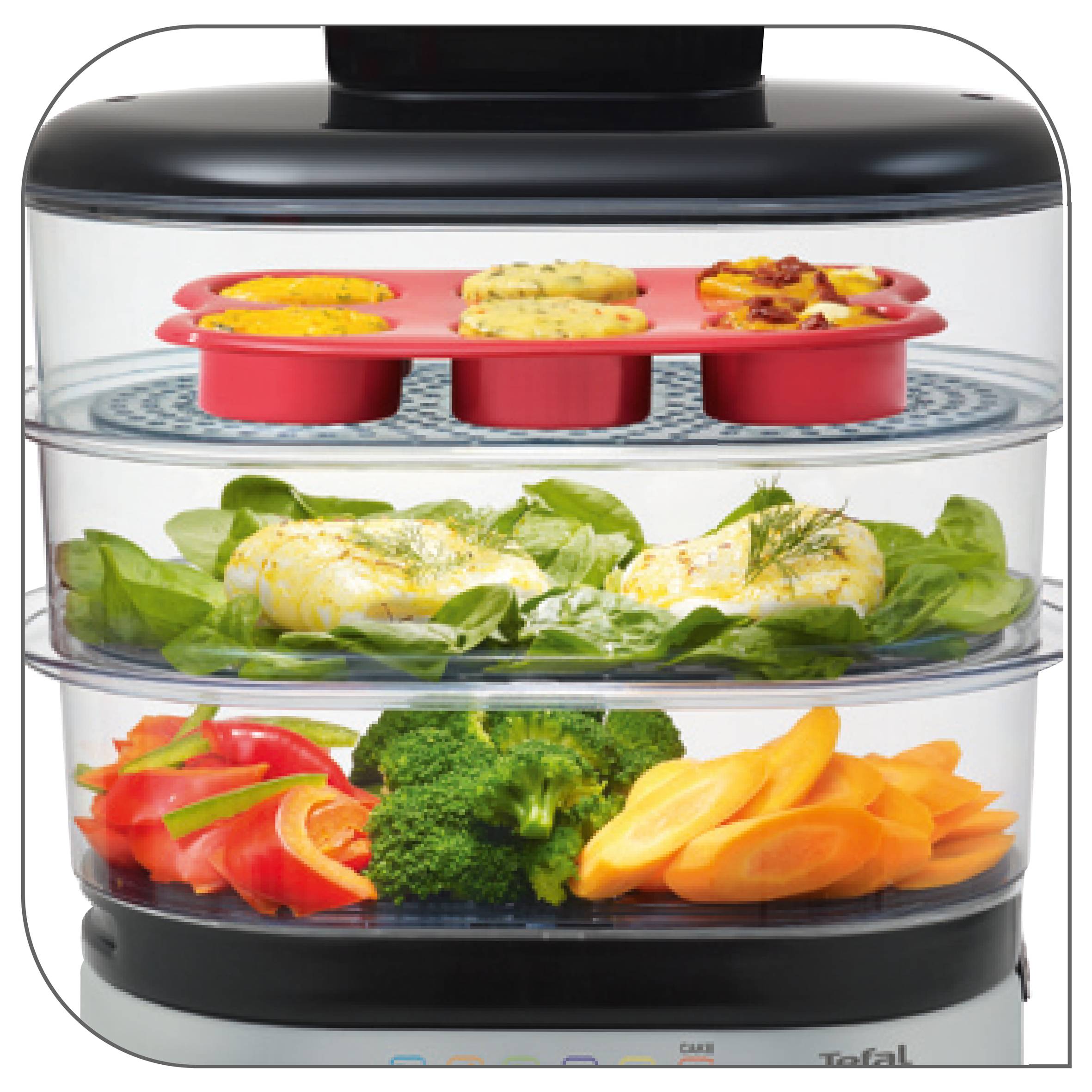 STEAM N LIGHT VC300830