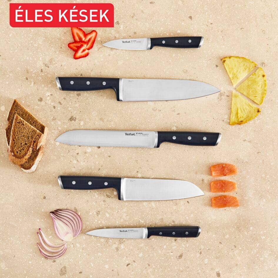 Tefal EverSharp 5 darabos önélező séfkéskészlet és késtömb beépített élezővel K297S644