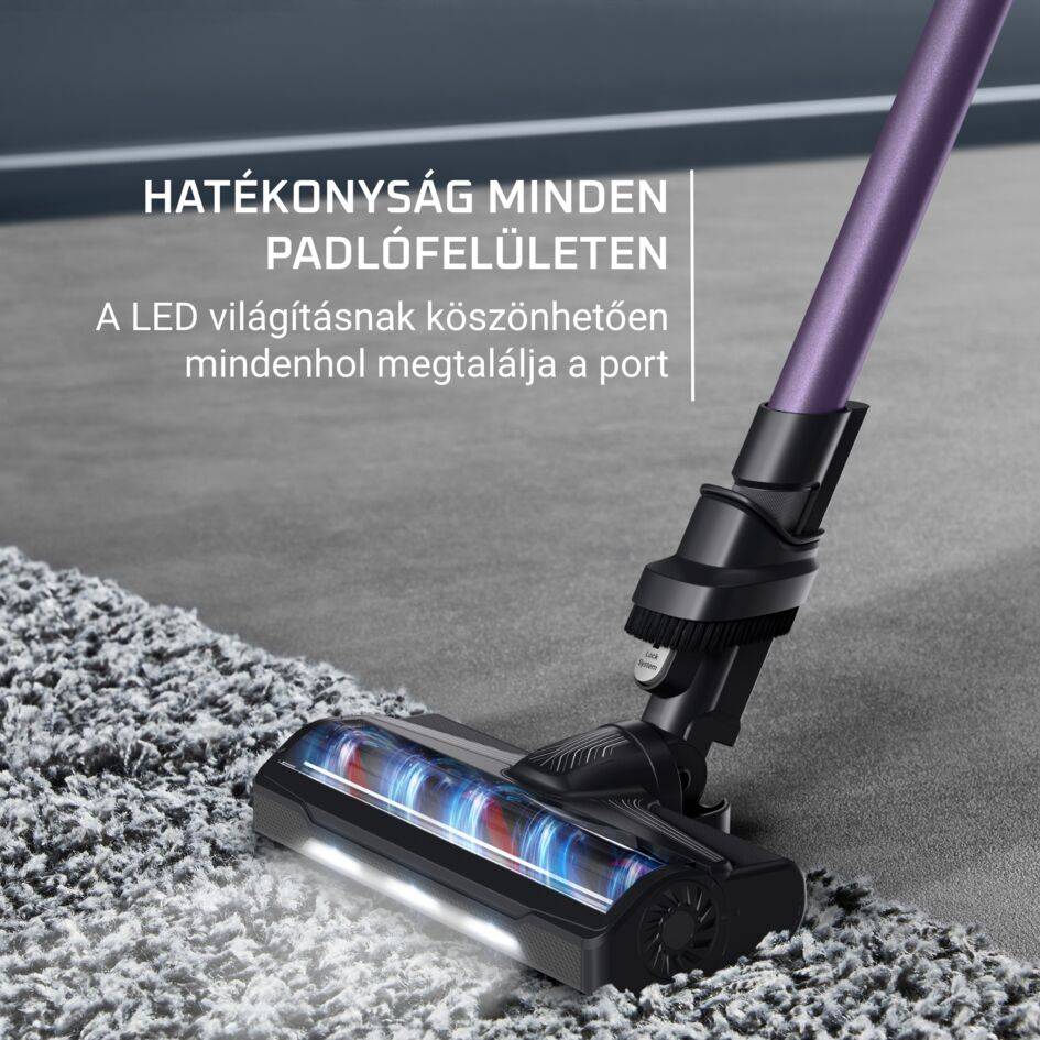 Rúdporszívó X-PERT 7.60 RH6A31WO