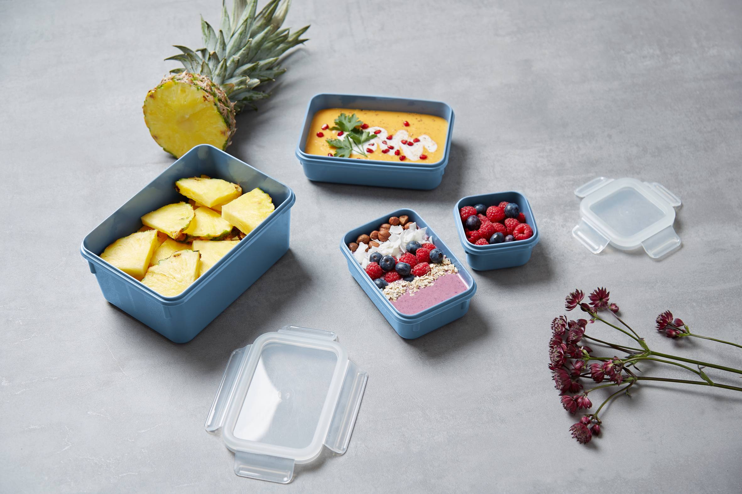 MASTERSEAL COLOUR EDITION N1030810 4 részes készlet (0.20 / 0.55 / 0.80 / 2.20 L )