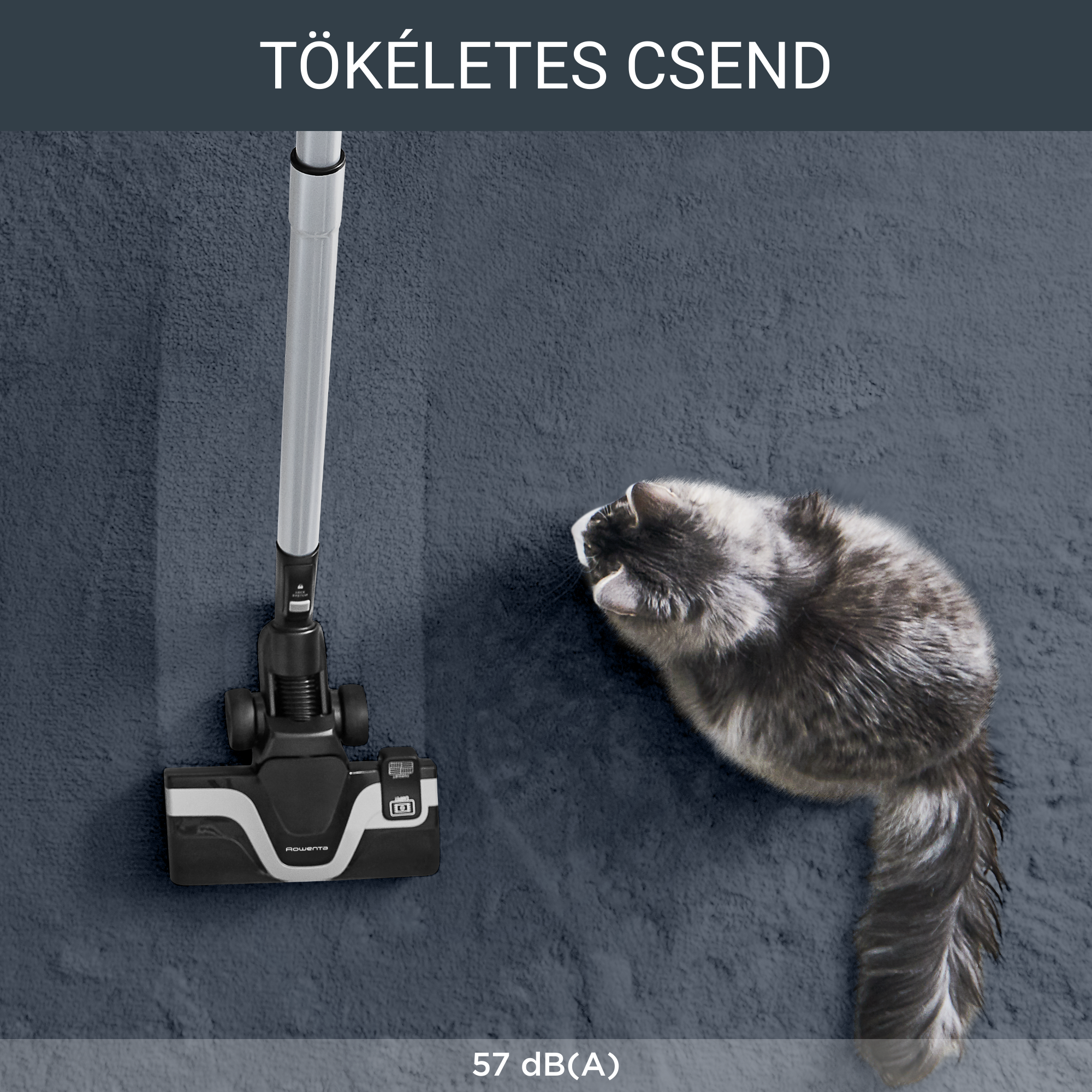 Porzsákos porszívó SILENCE FORCE ALLERGY+ 57 dB RO7487EA