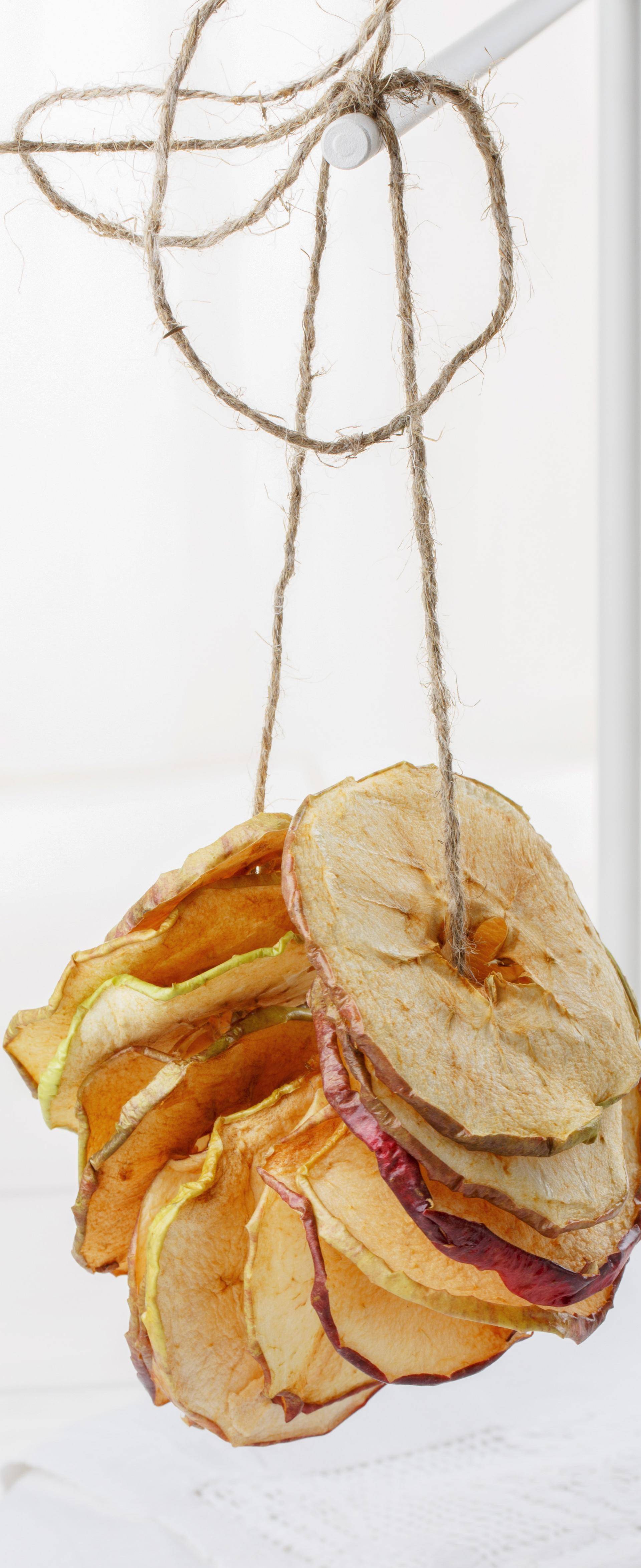 Recipe Details Page <seo.title.recipe> - Tefal