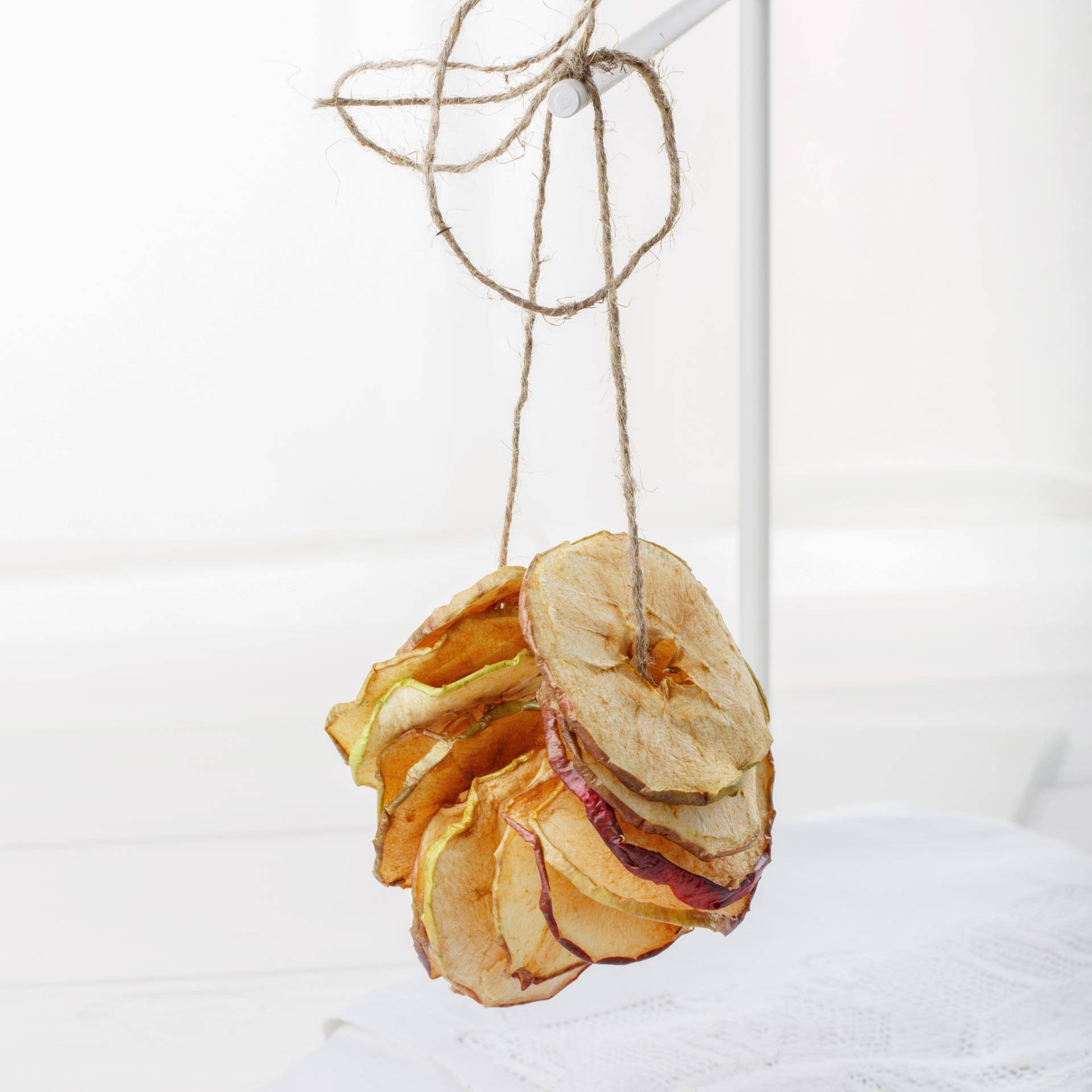 Recipe Details Page <seo.title.recipe> - Tefal