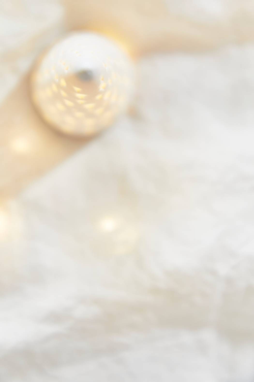 Large-CHRISTMAS PORK WITH HONEY GLAZE_EPAULE DE PORC DE NOEL ROTIE AU MIEL_DETAIL 6.jpg