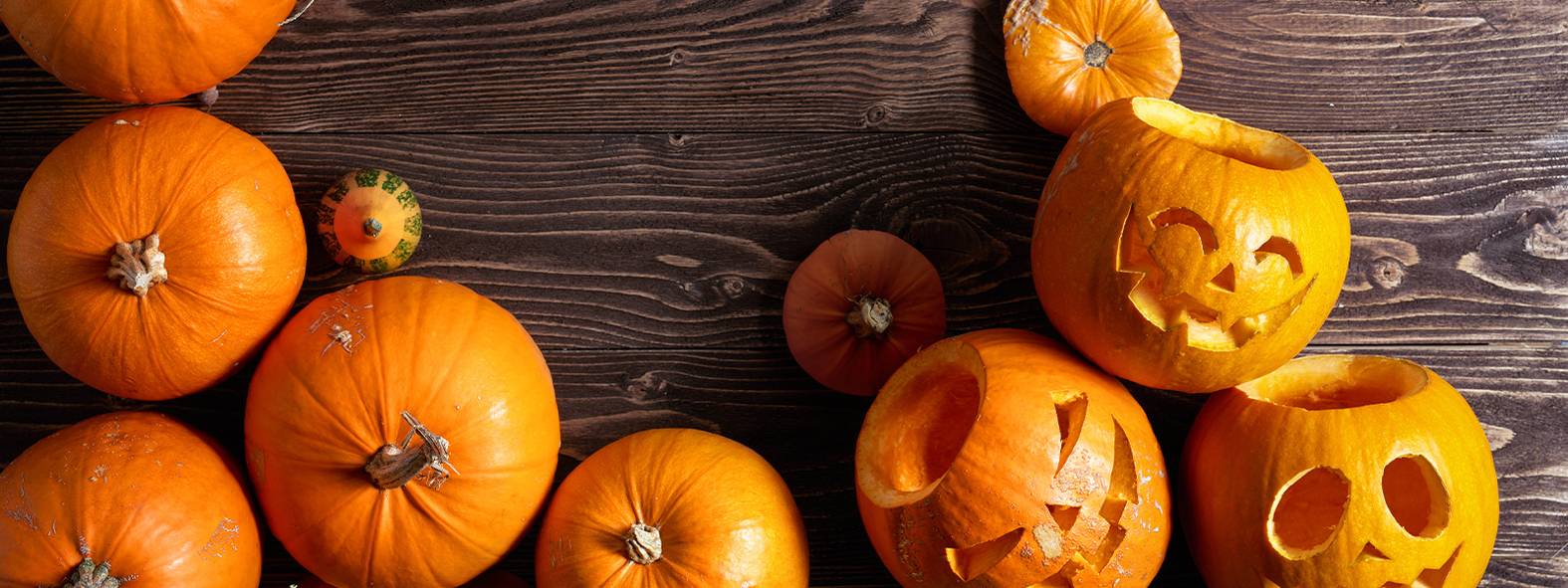 Large-TEFAL_2022_Halloween_D2CBanner_Desktop_1600x600 v2.jpg